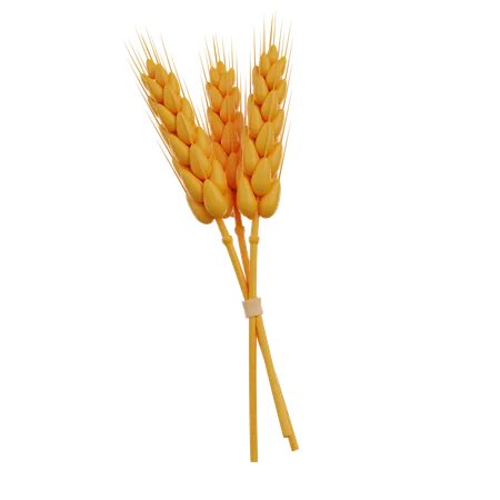 Bunch Of Wheat 3 D Render Icon 3D Icon