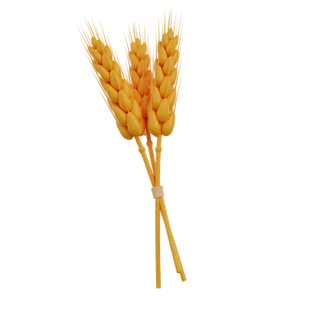 Bunch Of Wheat  3D Icon