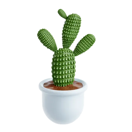Bunny Ears Cactus  3D Icon