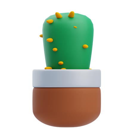 Cactus de bureau  3D Icon