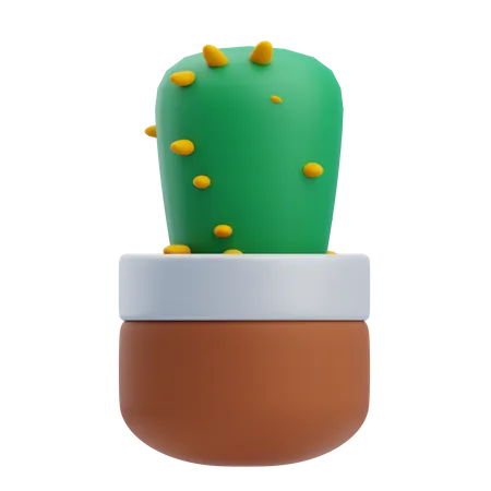 Cactus de bureau  3D Icon