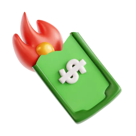 Burn Cash  3D Icon
