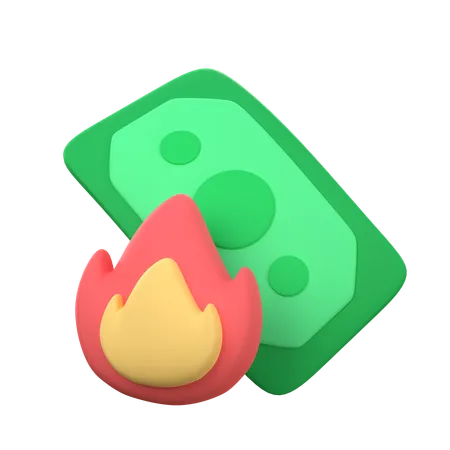 Burning Cash  3D Icon
