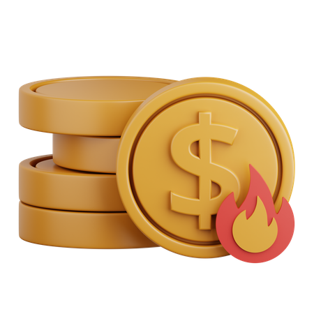 Burning Money  3D Icon