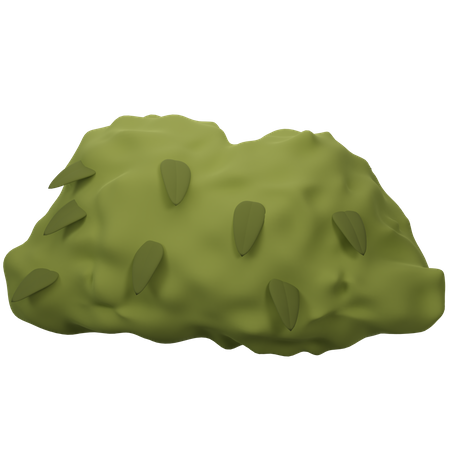 Bush  3D Icon