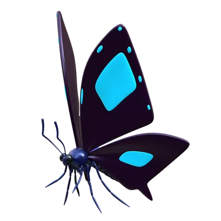 Butterfly 3 D Insect Illustration 3D Icon
