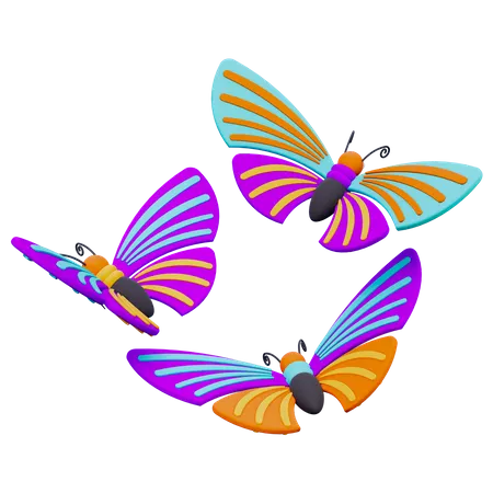 Butterfly  3D Icon