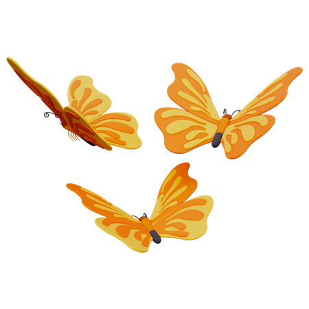 Butterfly  3D Icon