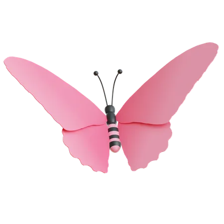 Butterfly  3D Icon