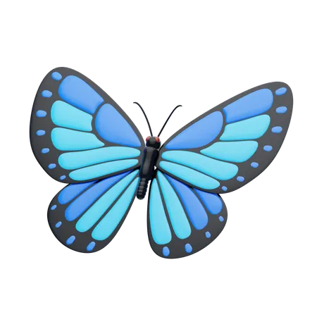 Butterfly  3D Icon