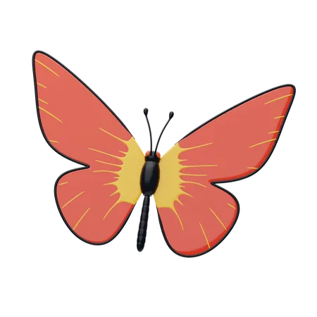 Butterfly  3D Icon