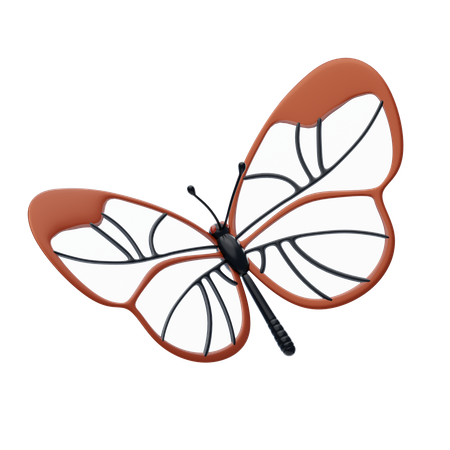 Butterfly  3D Icon