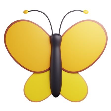 Butterfly  3D Icon