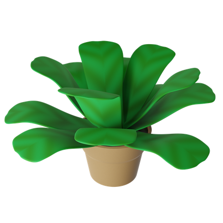 Vaso de butterwort  3D Icon