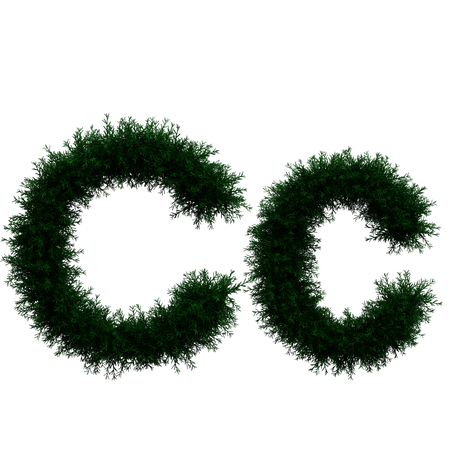 C  3D Icon