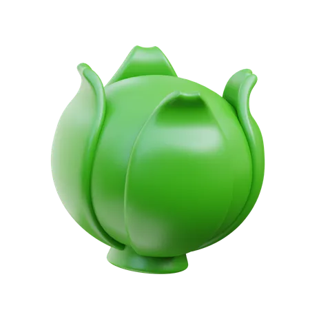 Cabbage Vegetable 3 D 3D Icon