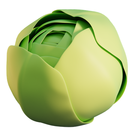 Cabbage  3D Icon