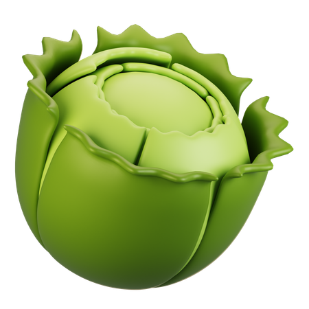 Cabbage  3D Icon