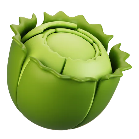 Cabbage  3D Icon