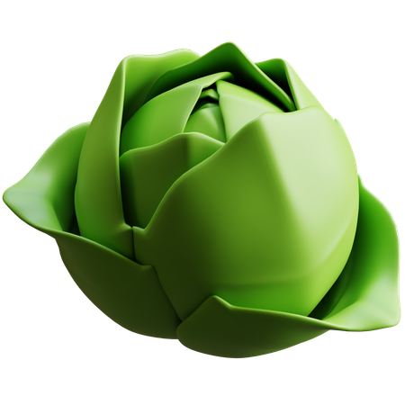 Cabbage  3D Icon