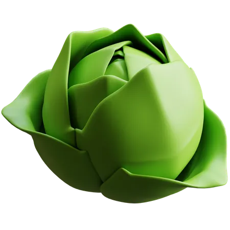 Cabbage  3D Icon