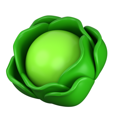 Cabbage  3D Icon