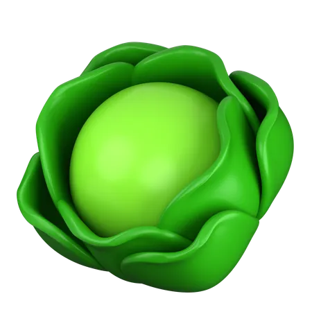 Cabbage  3D Icon