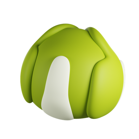 Cabbage  3D Icon