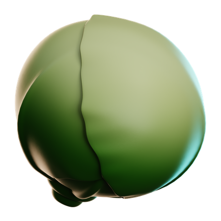 Cabbage  3D Icon