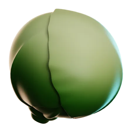 Cabbage  3D Icon