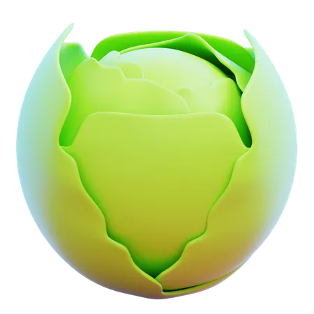 CABBAGE  3D Icon