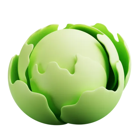 Cabbage  3D Icon