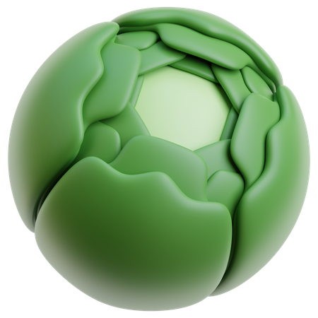 Cabbage  3D Icon