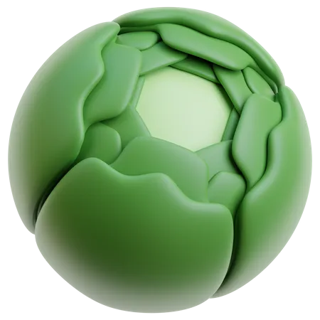 Cabbage  3D Icon