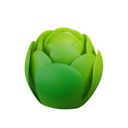 Cabbage  3D Icon