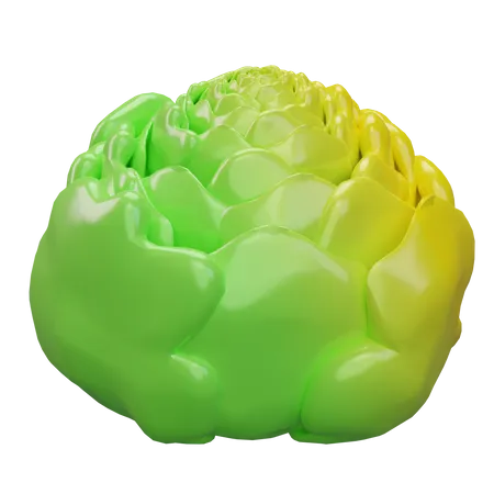 Cabbage  3D Icon