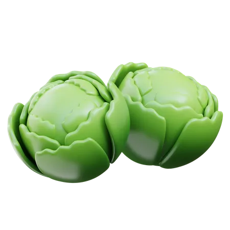 Cabbage  3D Icon