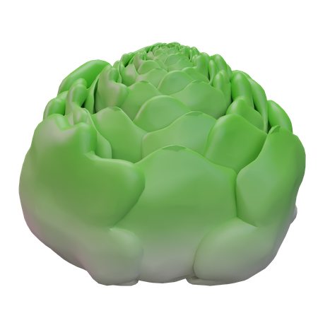 Cabbage  3D Icon