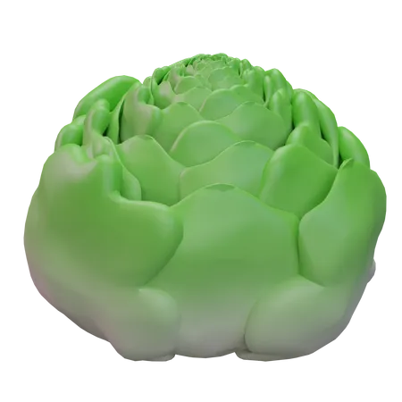 Cabbage  3D Icon