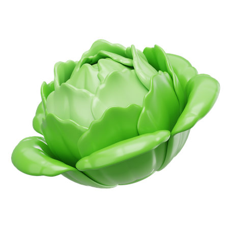 Cabbage  3D Icon