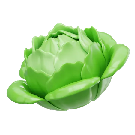 Cabbage  3D Icon