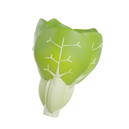 Cabbage  3D Icon
