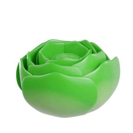 Cabbage  3D Icon