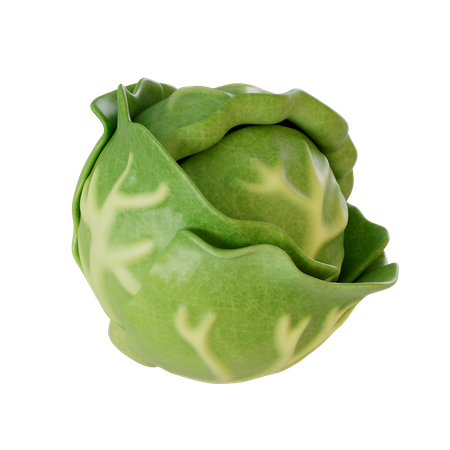 Cabbage  3D Icon