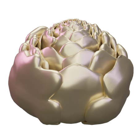 Cabbage  3D Icon