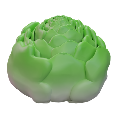 Cabbage  3D Icon