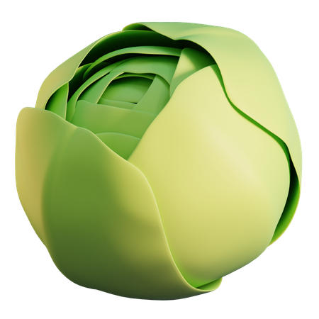 Cabbage  3D Icon
