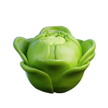 Cabbage  3D Icon