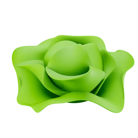 Cabbage 3D Illustration