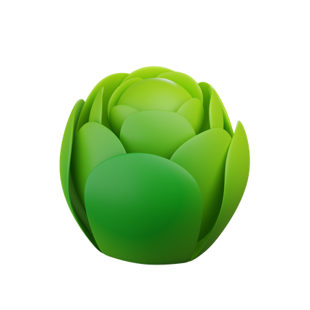 Cabbage  3D Icon